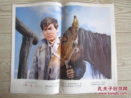 办一胎准生证